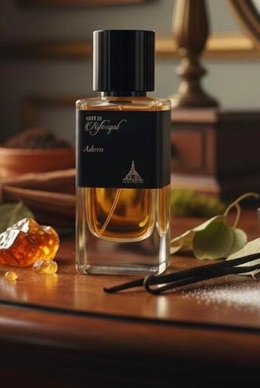 Rifaquaat Adorn de PARIS CORNER